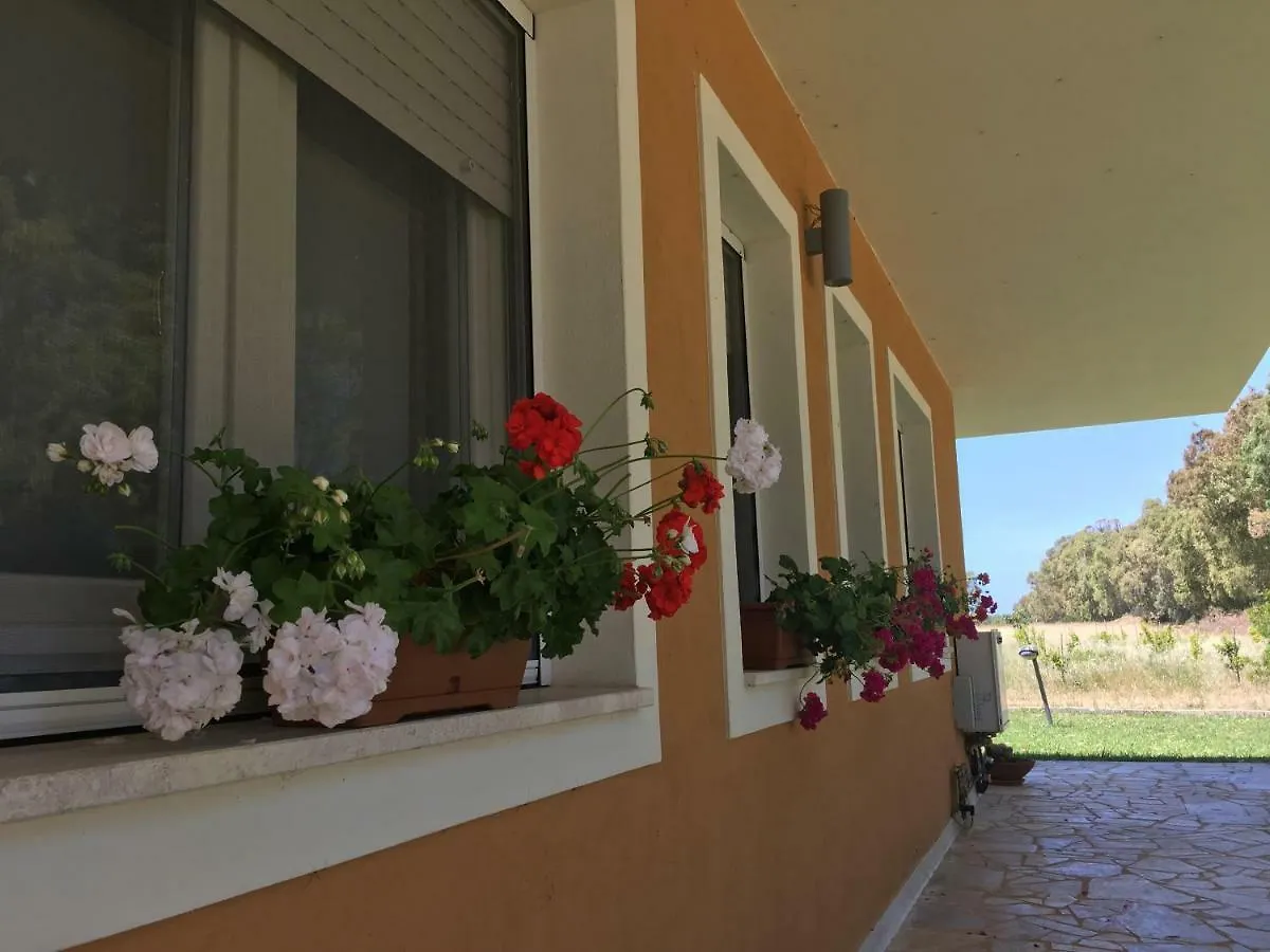 Villa Arzilla Sardegna 阿尔盖罗 意大利