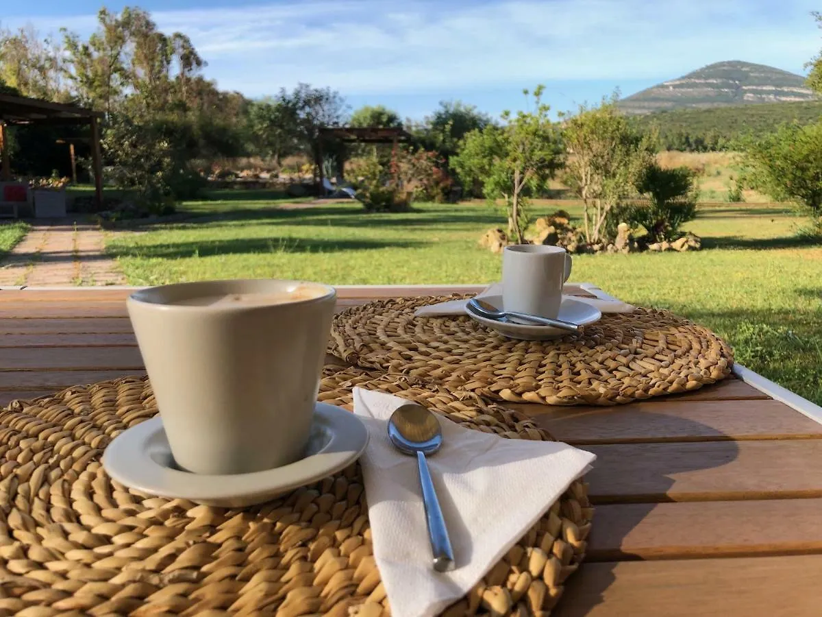 Villa Arzilla Sardegna Alguer Italia